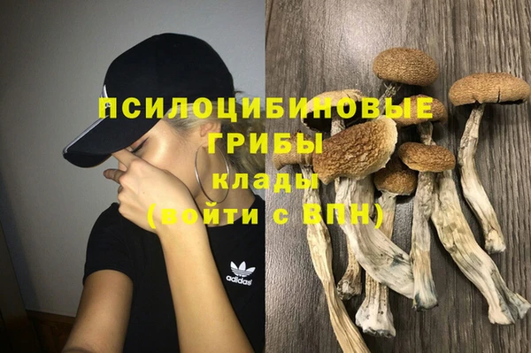 бутират Арсеньев