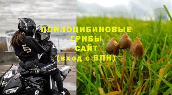 МДПВ Аркадак