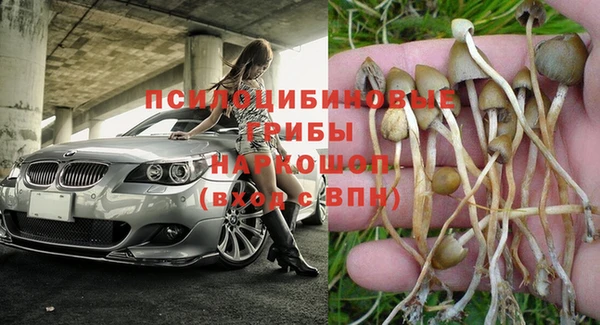 бутират Арсеньев