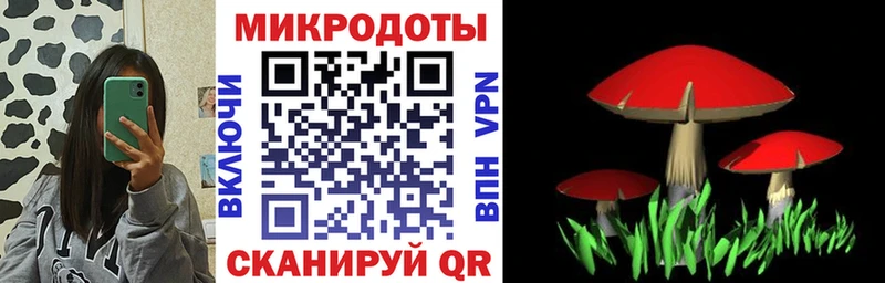Галлюциногенные грибы мицелий Вольск