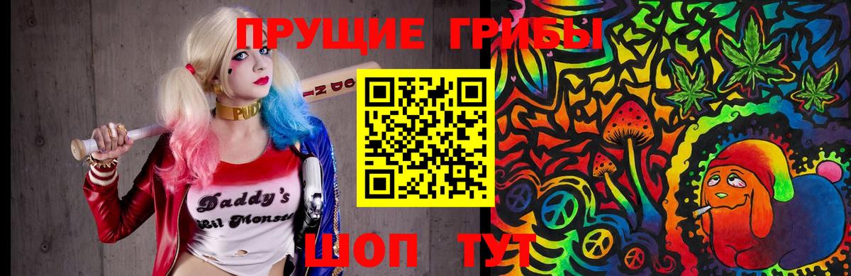 Вольск  Псилоцибиновые грибы Psilocybe  Вход с VPN 